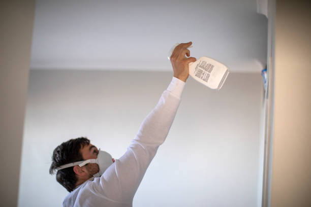 Best Fast Mold Removal  in Canyon, TX