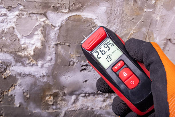 Crawl Space Mold Removal in Canyon, TX