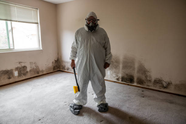 Home Mold Removal in Canyon, TX